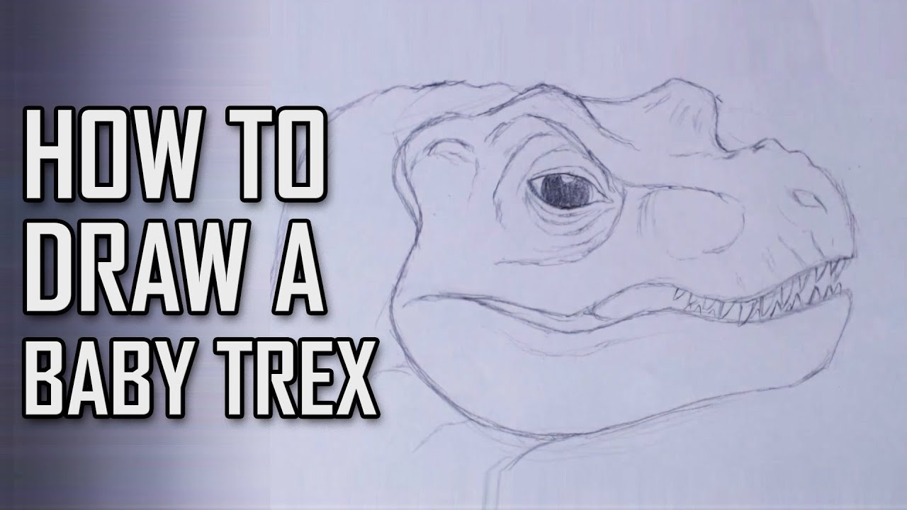 1280x720 How To Draw A Baby Trex Head - T Rex Head Drawing