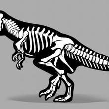 T Rex Skeleton Drawing at PaintingValley.com | Explore collection of T ...