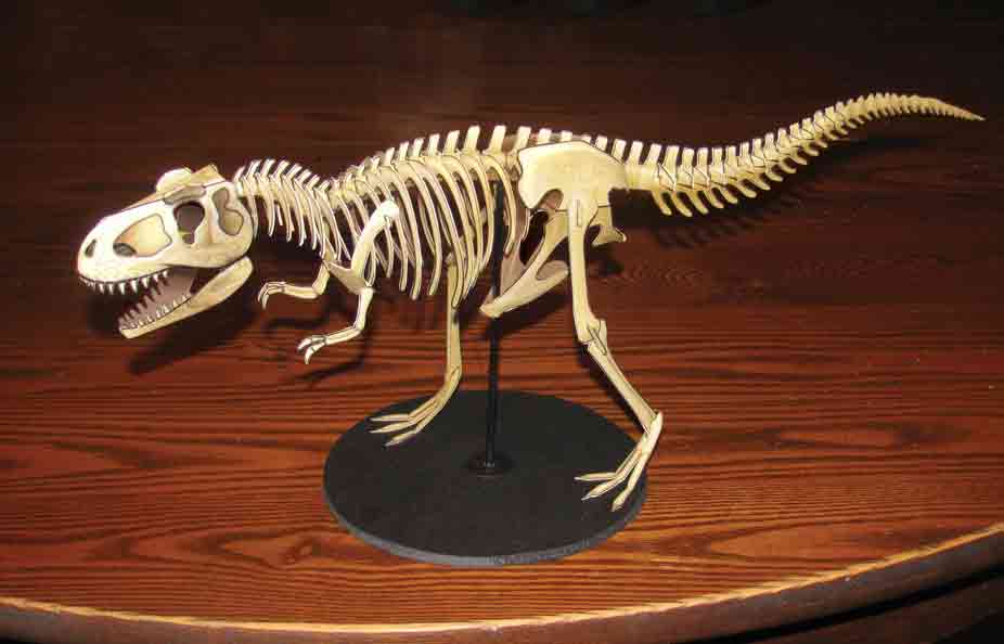 926x594 T Rex Skeleton Miscellanous - T Rex Skeleton Drawing