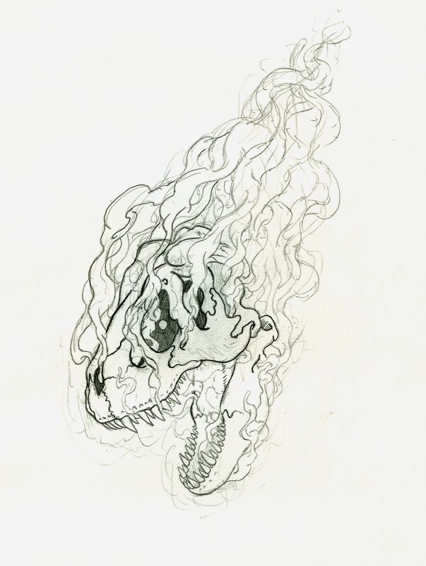 603x800 Smoking T Rex Skull - T Rex Skull Drawing