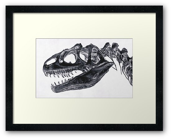 550x449 Inverted T Rex Skull Drawing Framed Prints - T Rex Skull Drawing