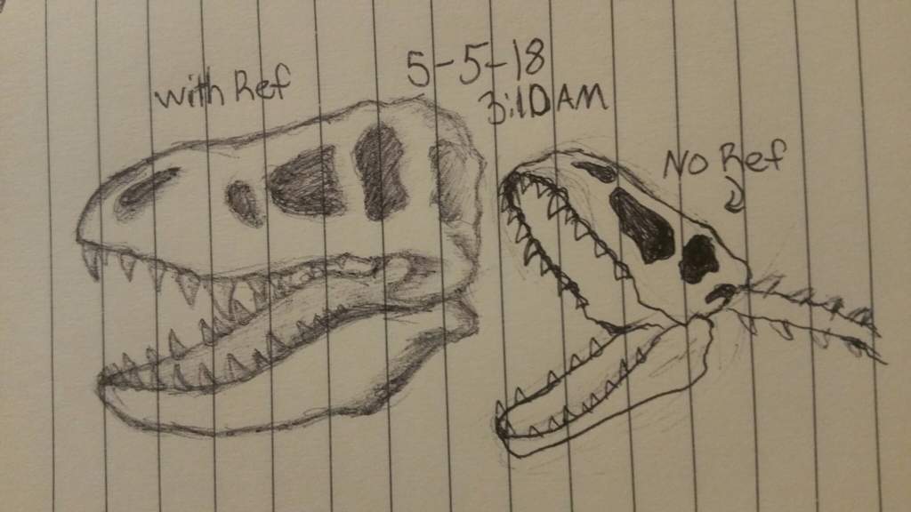 1024x576 Tyrannosaurus Rex Skull Practice Dinosaur Planet Amino - T Rex Skull Drawing