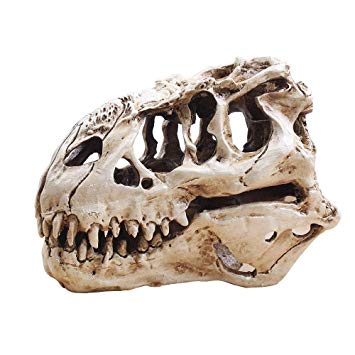 355x355 Zzh Unique T Rex Skull Dinosaur Fish Tank Decorations Home Decor - T Rex Skull Drawing