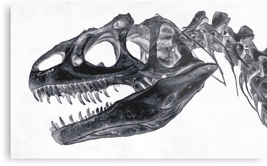550x343 Inverted T Rex Skull Drawing Metal Print - T Rex Skull Drawing