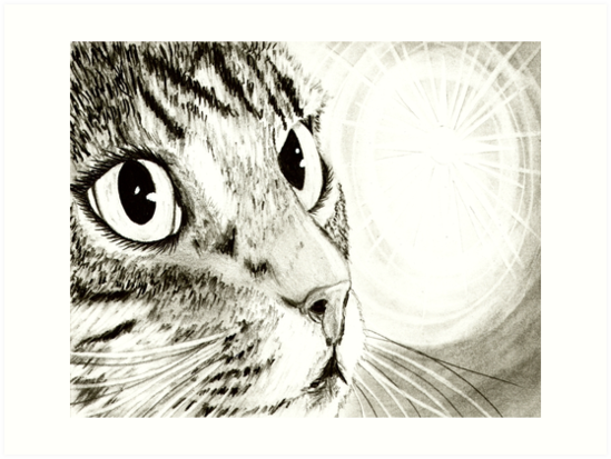 549x413 Fairy Light Tabby Cat Drawing Art Prints - Tabby Cat Drawing