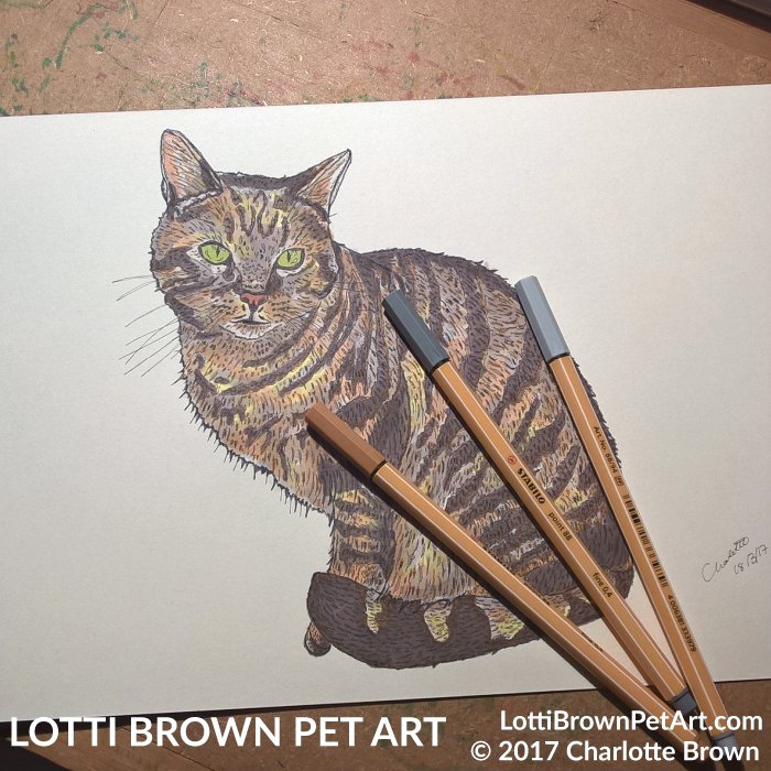 700x700 Tabby Cat Art 'tabby Afternoon In The Sun' Lotti Brown Designs - Tabby Cat Drawing