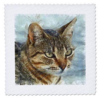 355x355 Taiche - Tabby Cat Drawing