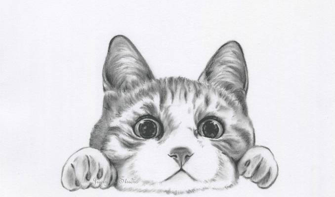 678x399 Charcoal Cat Drawing Cat Sketch Print Charcoal Sketch Pet Etsy - Tabby Cat Drawing