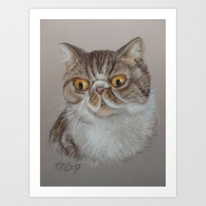 700x700 Exotic Cat Portrait Tabby Cat Pastel Drawing Sketch On Grey - Tabby Drawing