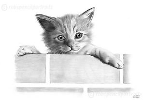 300x212 Kitten On A Wall Pencil Drawing Art Print Tabby Cute Picture - Tabby Drawing