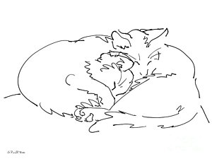 300x225 Tabby Cat Drawings Fine Art America - Tabby Drawing