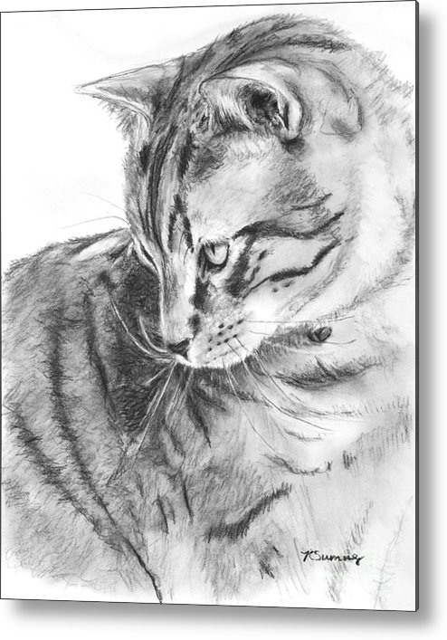 494x707 Tabby Cat In Profile Drawing Metal Print - Tabby Drawing