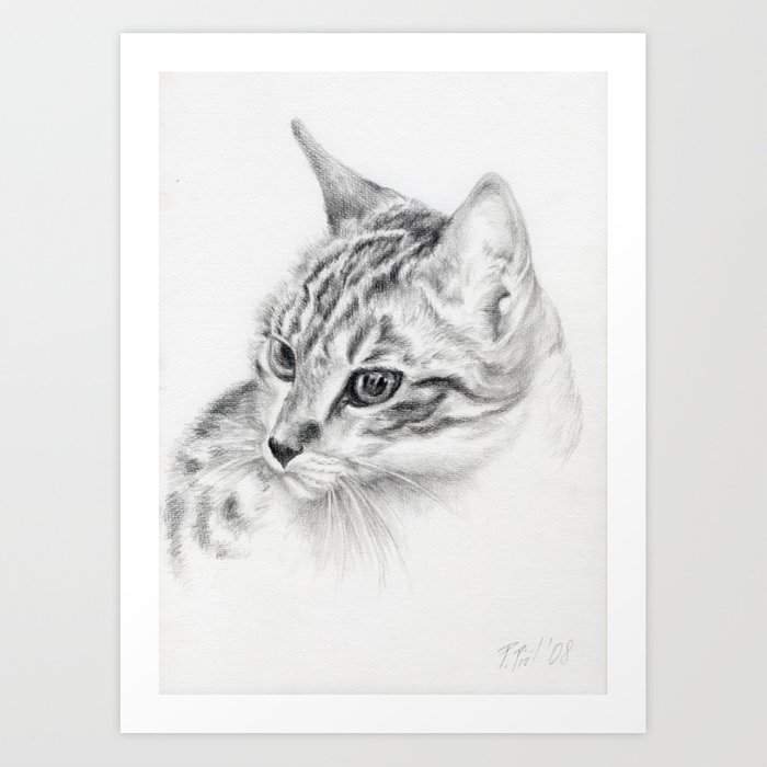 700x700 Tabby Cat Portrait Graphite Pencil Drawing Pet Illustration Decor - Tabby Drawing