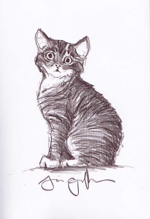 481x700 The World's Newest Photos Of Drawing And Griffiths - Tabby Drawing
