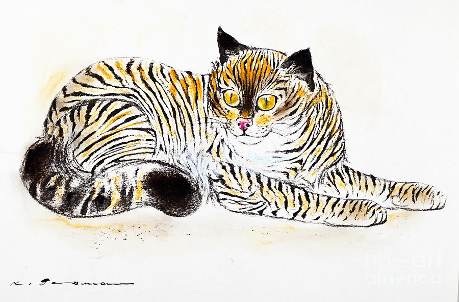 900x592 Common Mackerel Tabby Cat Drawing - Tabby Drawing