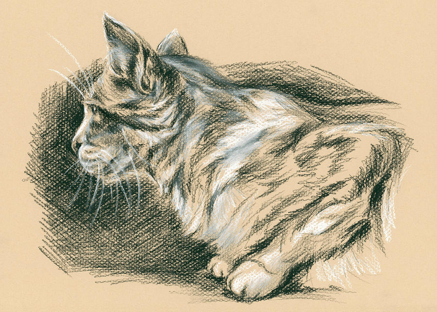 900x642 Crouching Tabby Drawing - Tabby Drawing