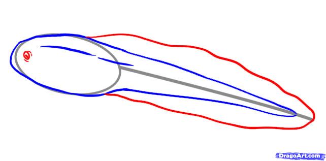 642x317 How To Draw A Tadpole, Step - Tadpole Drawing