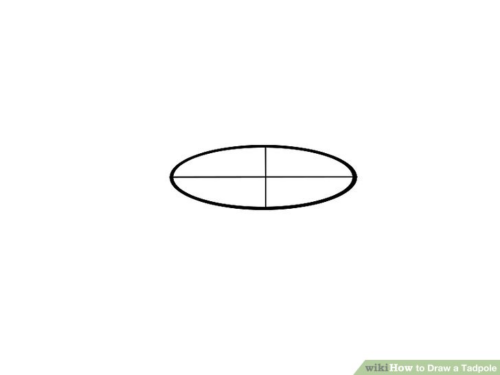 728x546 How To Draw A Tadpole Steps - Tadpole Drawing