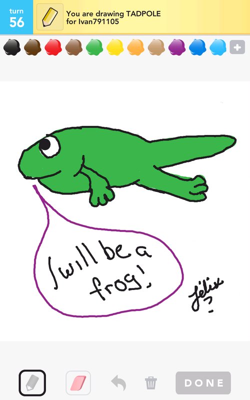 500x800 Tadpole Drawings - Tadpole Drawing