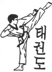 222x305 kicks - Taekwondo Drawing