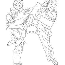 220x220 taekwondo combat sport coloring pages - Taekwondo Drawing