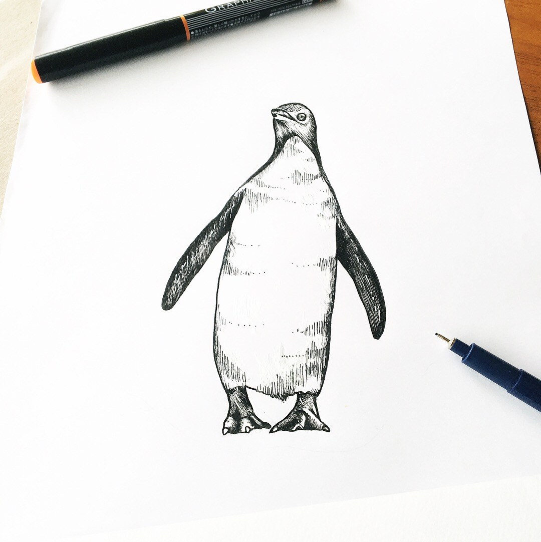 1080x1082 Drawing Kylea Parker - Tag Drawing