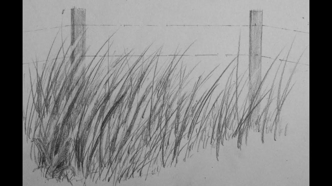 1280x720 how to draw realistic tall grass - Tall Grass Drawing