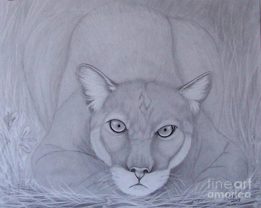 900x719 in the tall grass drawing - Tall Grass Drawing