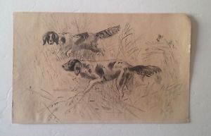 300x193 pencil drawing of two hunting dogs in tall grass signed aes - Tall Grass Drawing