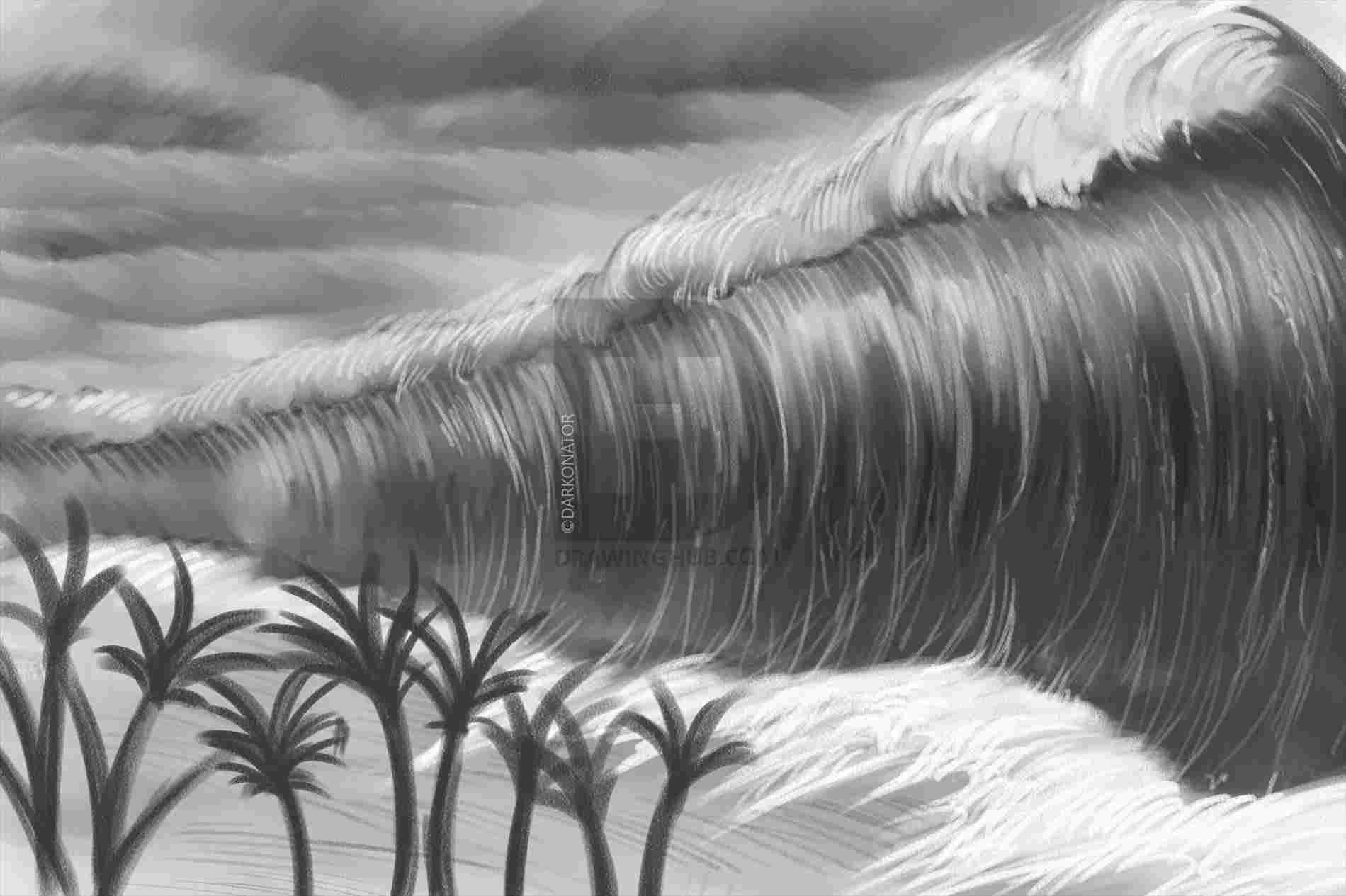 1900x1265 and skyrhlindankingblogspotcom how to draw realistic tall grass - Tall Grass Drawing