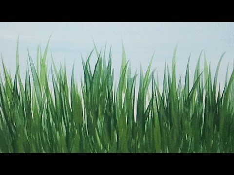 480x360 acrylic painting how to paint tall grass quick and easy painting - Tall Grass Drawing