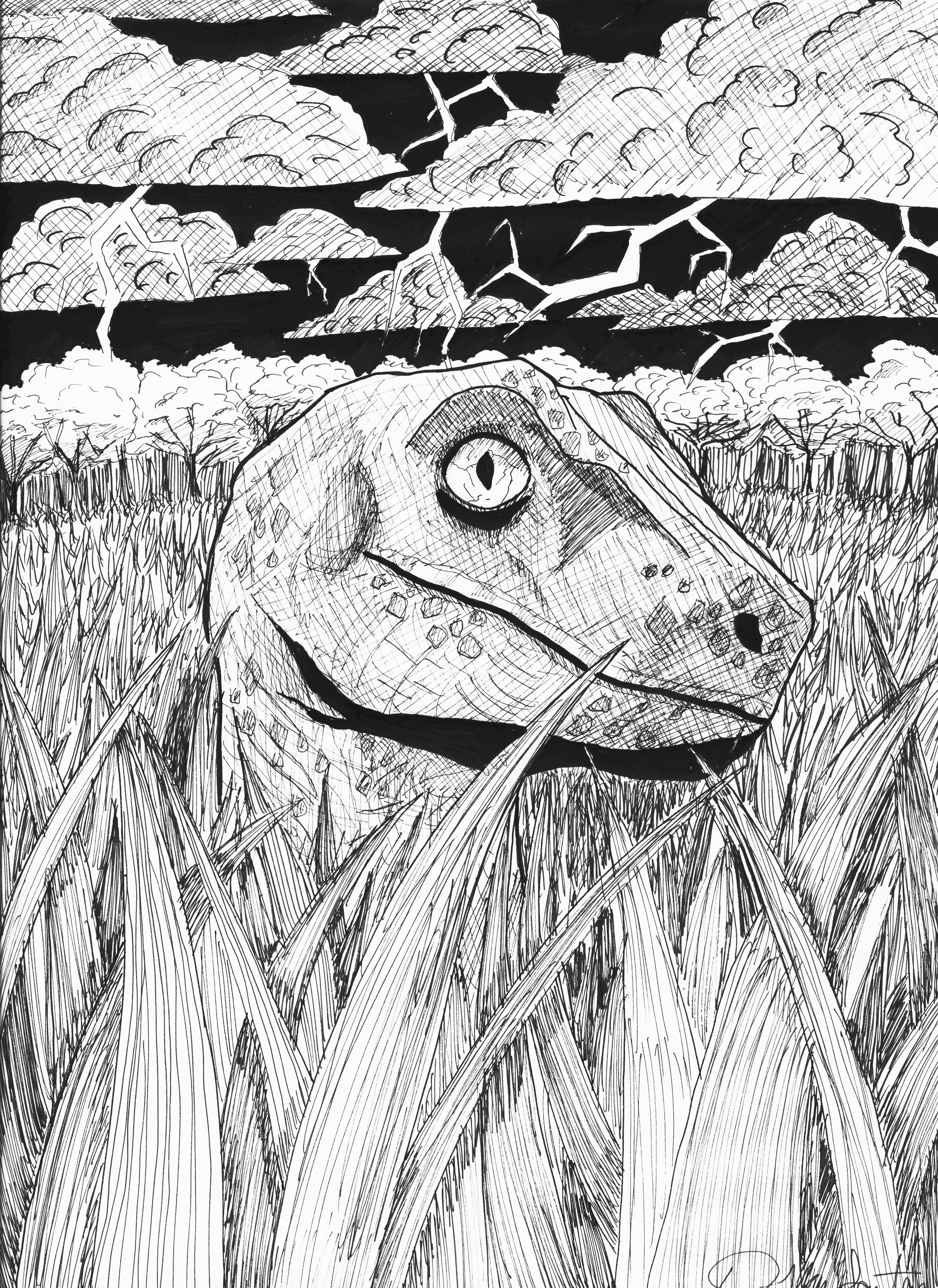 3255x4469 art of the month don't go into the tall grass - Tall Grass Drawing