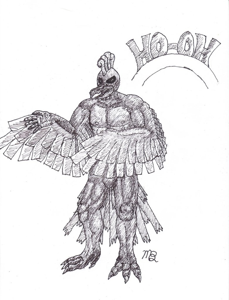 Talon Drawing at Explore collection of Talon Drawing