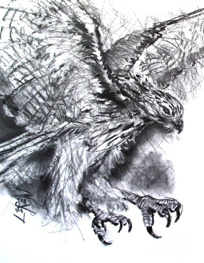 699x900 redtail hawk talons drawing - Talon Drawing