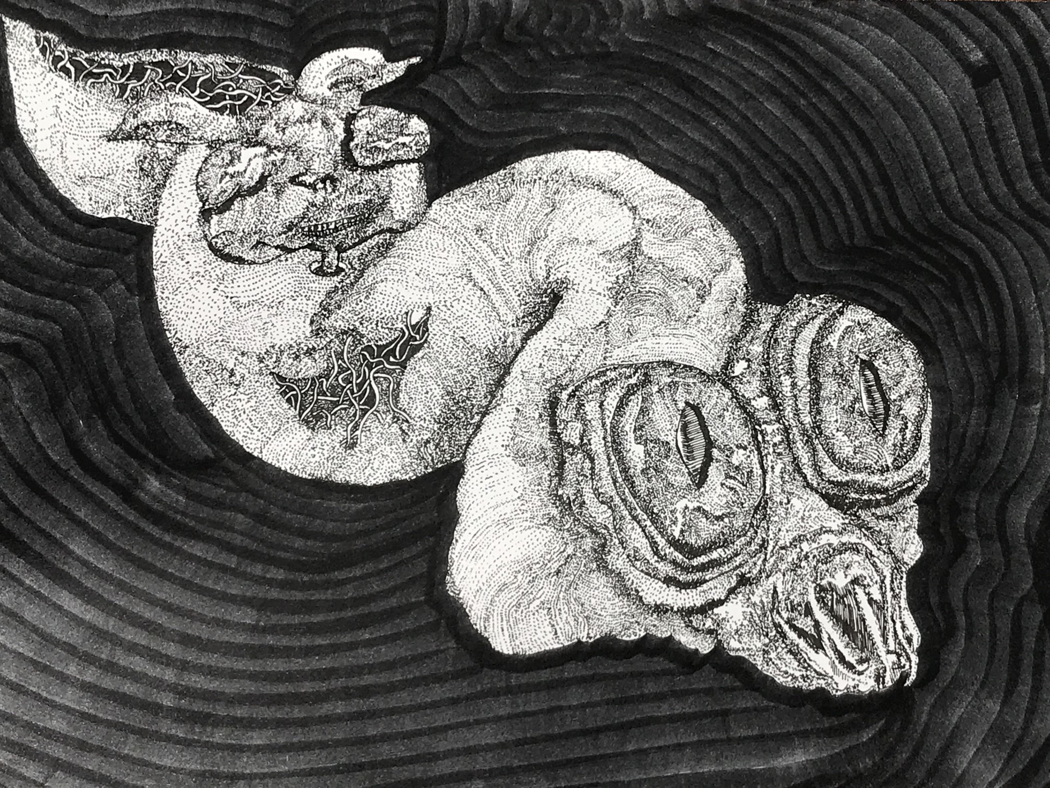 4032x3024 Tape Worm Drawing - Tapeworm Drawing