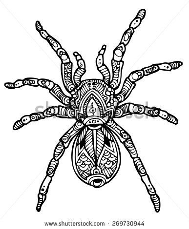 387x470 Tarantula Drawing - Tarantula Drawing