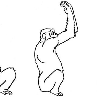 320x320 schematic drawings of the target action chimpanzee praying used - Target Drawing