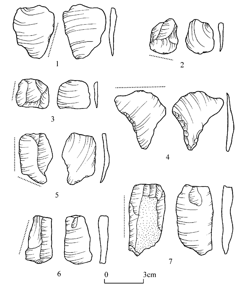 850x999 Experimental Tools Used For Processing Sugar Cane, Taro Leaves - Taro Leaf Drawing