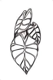 183x275 Taro Taro Plant Tattoo, Taro Plant - Taro Leaf Drawing