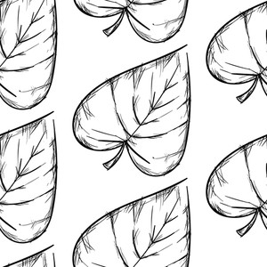 300x300 Taro Leaf Royalty Free Vectors - Taro Leaf Drawing