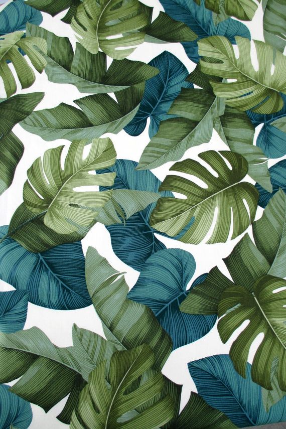 570x855 Drawn Foliage Taro Leaves - Taro Leaf Drawing