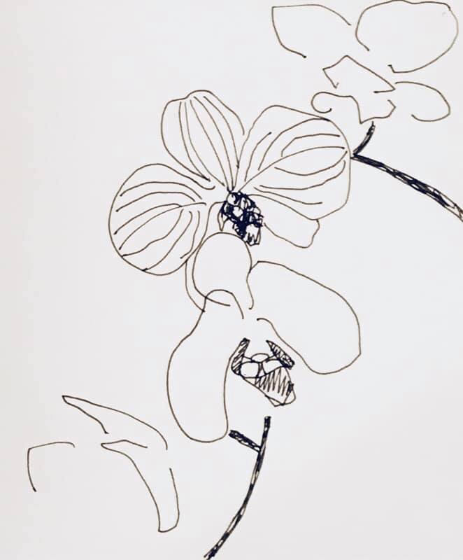 662x800 works drawing x paper x cm - Taro Plant Drawing