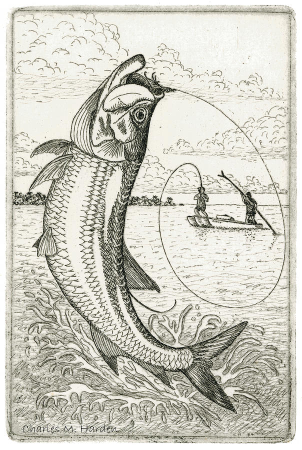 604x900 leaping tarpon drawing - Tarpon Drawing