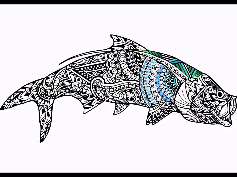 960x720 Coloring A Zentangle Tarpon - Tarpon Drawing