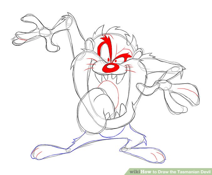 677x559 how to draw the tasmanian devil steps - Tasmanian Devil Cartoon Drawing