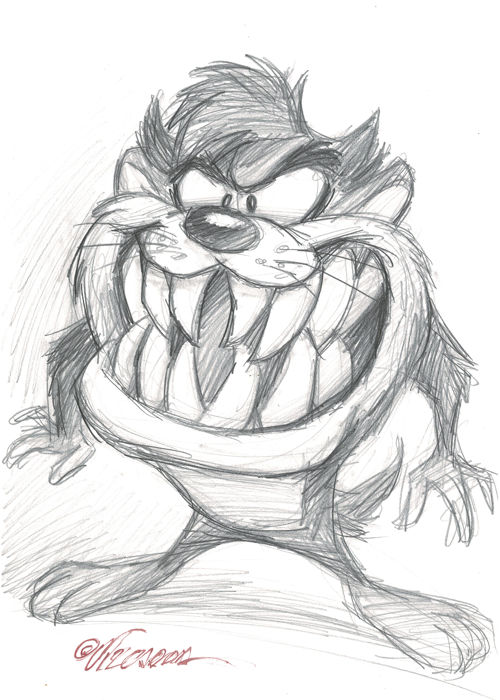 500x700 Tasmanian Devil - Tasmanian Devil Drawing