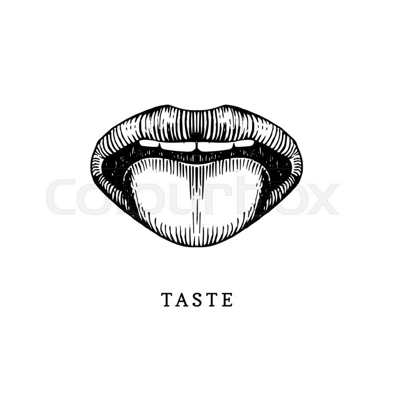 800x800 hand drawn icon of human sense of stock vector colourbox - Taste Drawing
