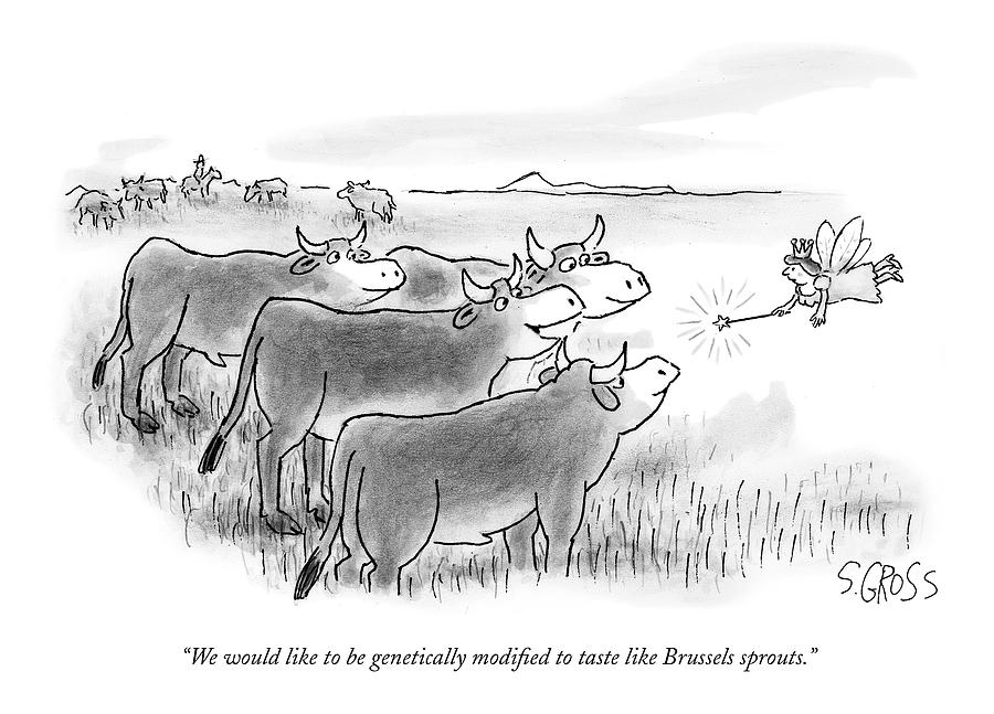 900x647 we would like to be genetically modied to taste drawing - Taste Drawing