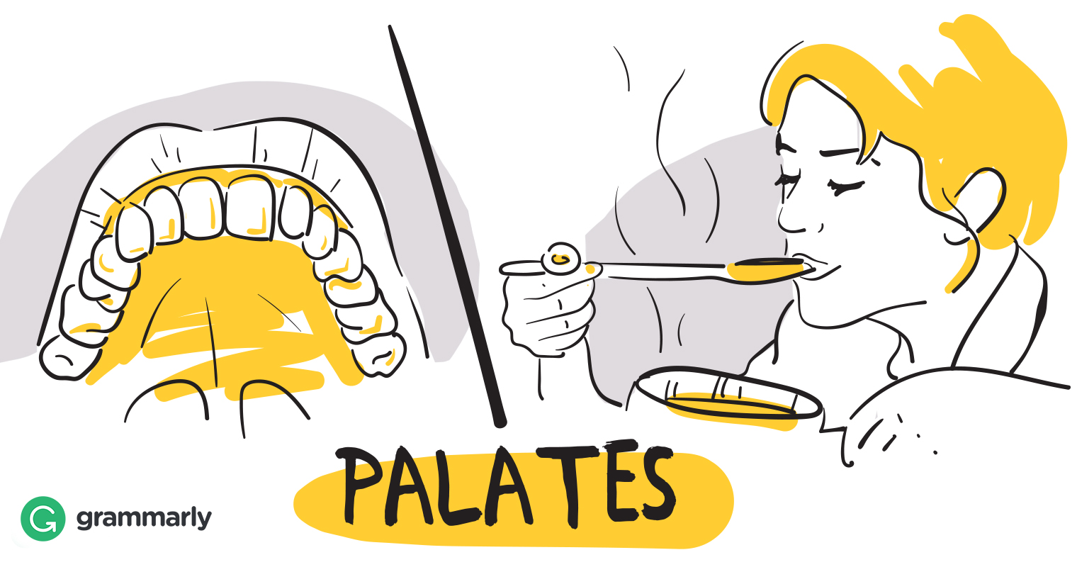 1520x800 what is palate grammarly blog - Taste Drawing