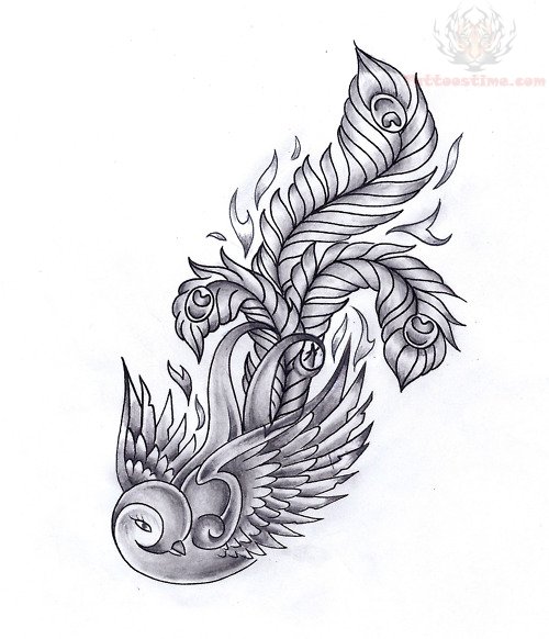 500x582 Stunning Swallow Feather Tattoo Drawing Design - Tattoo Drawing Designs